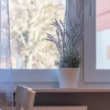 Centrum 1 Maja 35d Vip Apartamento *