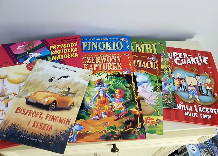 Centrum 1 Maja 35d Vip Apartment *